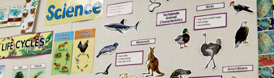 Poster Board with Animals